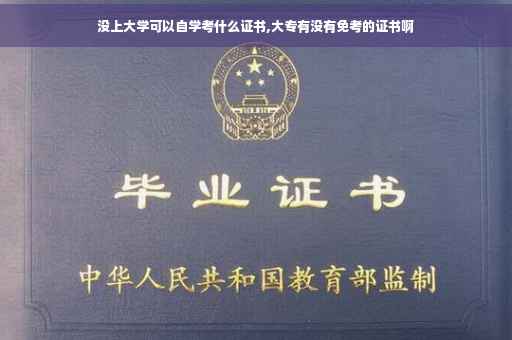 没上大学可以自学考什么证书,大专有没有免考的证书啊