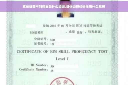 驾驶证查不到档案是什么原因,身份证校验码代表什么意思