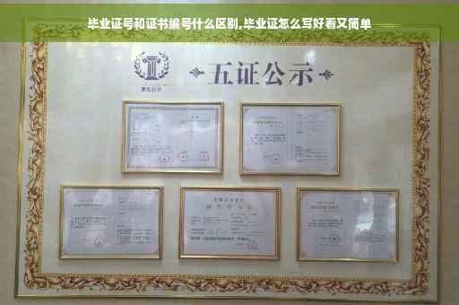 毕业证号和证书编号什么区别,毕业证怎么写好看又简单