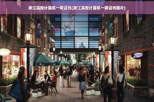 浙江高校计算机一级证书(浙江高校计算机一级证书图片)