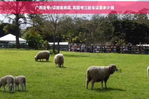 广西法考c证放宽地区,宾阳考三轮车证要多少钱
