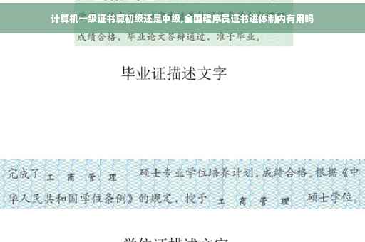 计算机一级证书算初级还是中级,全国程序员证书进体制内有用吗