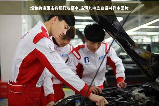 烟台的海阳市有那几所高中,庄河九中毕业证书样本图片