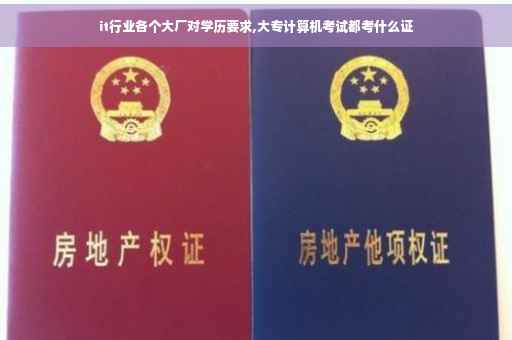 it行业各个大厂对学历要求,大专计算机考试都考什么证