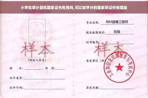 小学生拿计算机国家证书有用吗,可以加学分的国家级证件有哪些 小学生拿计算机国家证书有用吗,可以加学分的国家级证件有哪些