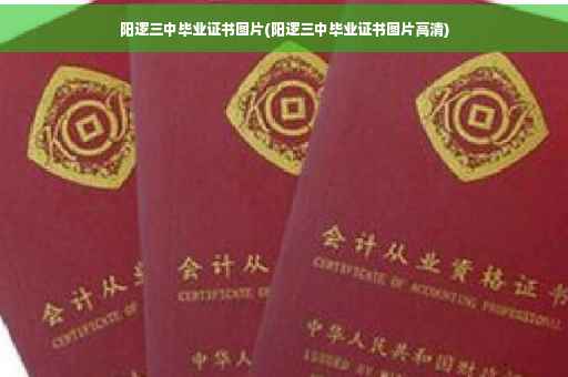 阳逻三中毕业证书图片(阳逻三中毕业证书图片高清)