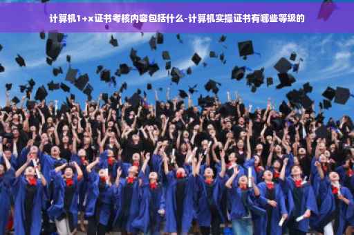 计算机1+x证书考核内容包括什么-计算机实操证书有哪些等级的