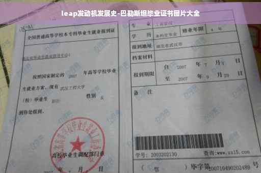 leap发动机发展史-巴勒斯坦毕业证书图片大全