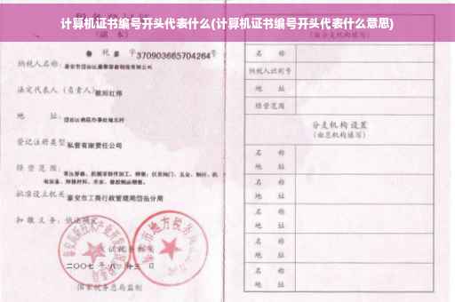 计算机证书编号开头代表什么(计算机证书编号开头代表什么意思)