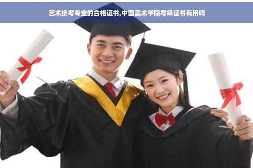艺术统考专业的合格证书,中国美术学院考级证书有用吗