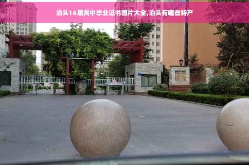 泊头16届高中毕业证书图片大全,泊头有哪些特产
