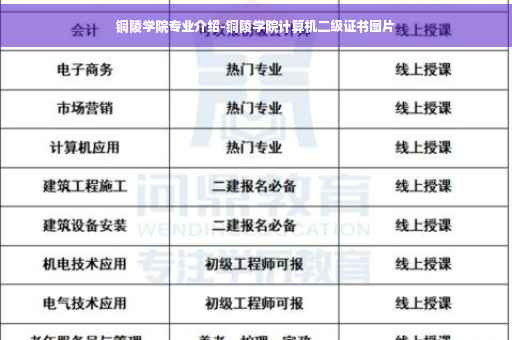 铜陵学院专业介绍-铜陵学院计算机二级证书图片