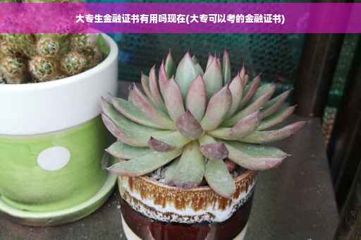 大专生金融证书有用吗现在(大专可以考的金融证书)