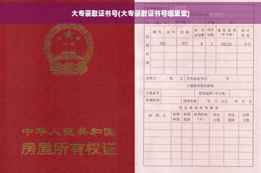 大专录取证书号(大专录取证书号哪里查)