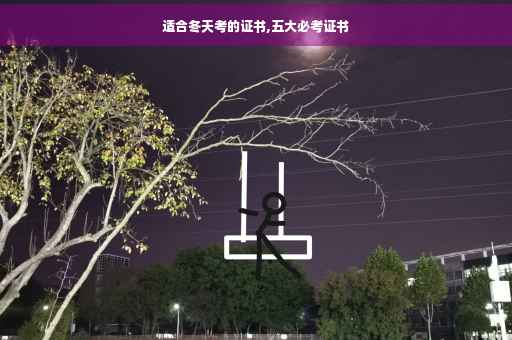 适合冬天考的证书,五大必考证书