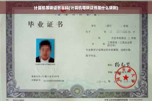 计算机等级证书百科(计算机等级证书是什么级别)