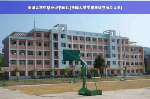 全国大学生毕业证书图片(全国大学生毕业证书图片大全)
