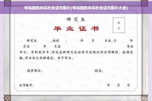专科院校本科毕业证书图片(专科院校本科毕业证书图片大全)