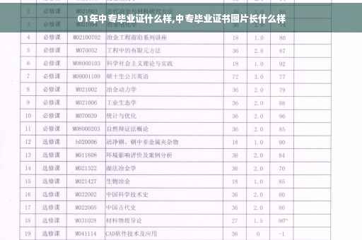 01年中专毕业证什么样,中专毕业证书图片长什么样