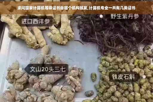 求问国家计算机等级证书由哪个机构颁发,计算机专业一共有几类证书