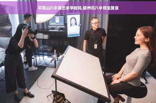 平顶山八中是艺术学校吗,柳州市八中招生简章
