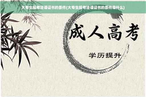 大专生报考法语证书的条件(大专生报考法语证书的条件是什么)