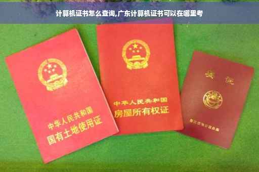 计算机证书怎么查询,广东计算机证书可以在哪里考