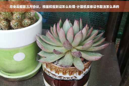 毕业后解除三方协议，档案和报到证怎么处理-计算机实体证书取消怎么弄的