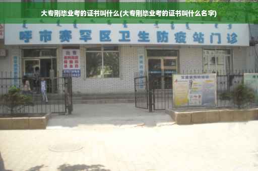 大专刚毕业考的证书叫什么(大专刚毕业考的证书叫什么名字)