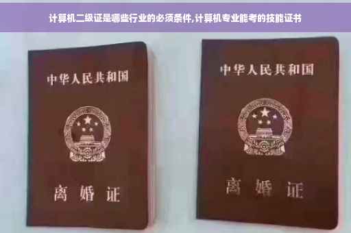 计算机二级证是哪些行业的必须条件,计算机专业能考的技能证书
