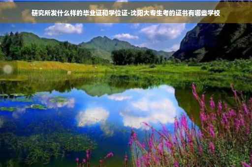研究所发什么样的毕业证和学位证-沈阳大专生考的证书有哪些学校