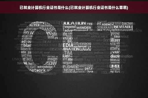 已就业计算机行业证书是什么(已就业计算机行业证书是什么意思)