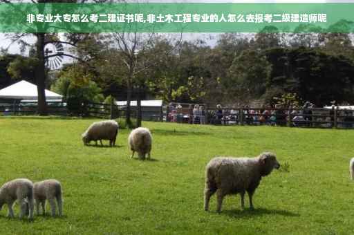 非专业大专怎么考二建证书呢,非土木工程专业的人怎么去报考二级建造师呢