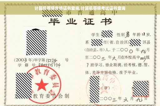 计算机等级资格证书查询,计算机等级考试证书查询