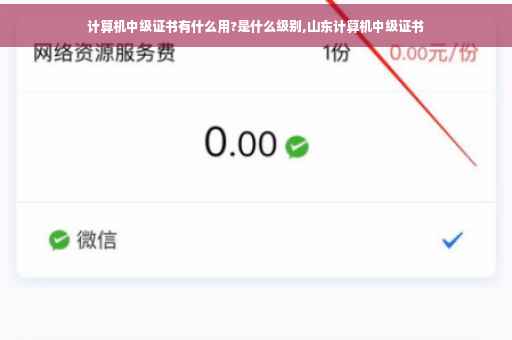 计算机中级证书有什么用?是什么级别,山东计算机中级证书
