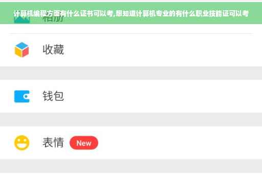 计算机编程方面有什么证书可以考,想知道计算机专业的有什么职业技能证可以考