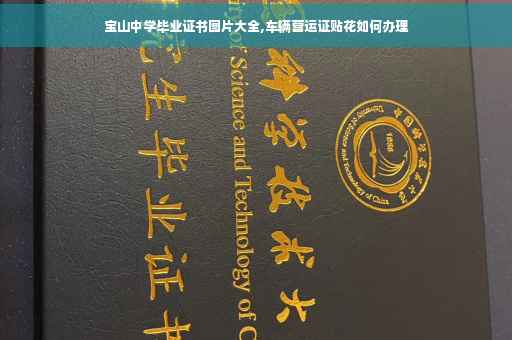 宝山中学毕业证书图片大全,车辆营运证贴花如何办理