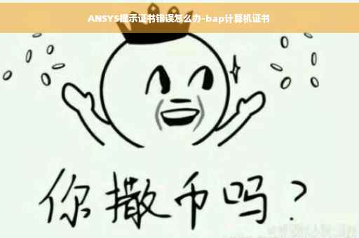ANSYS提示证书错误怎么办-bap计算机证书