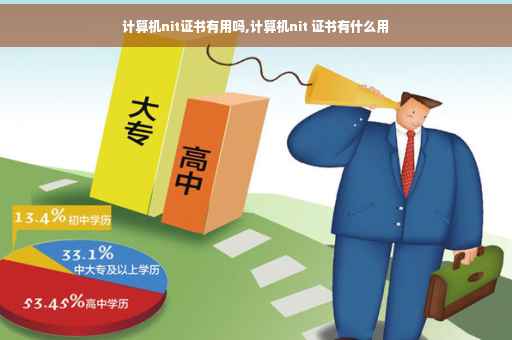 计算机nit证书有用吗,计算机nit 证书有什么用