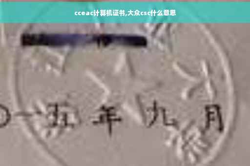 cceac计算机证书,大众csc什么意思