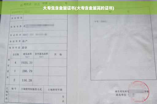 大专生含金量证书(大专含金量高的证书)
