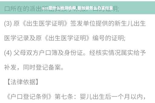 scc是什么检测机构,新加坡怎么办支付宝