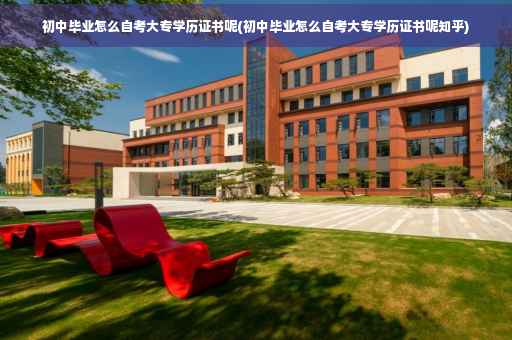 初中毕业怎么自考大专学历证书呢(初中毕业怎么自考大专学历证书呢知乎)
