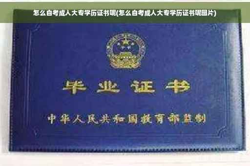 怎么自考成人大专学历证书呢(怎么自考成人大专学历证书呢图片)