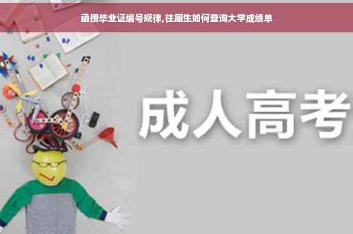 函授毕业证编号规律,往届生如何查询大学成绩单