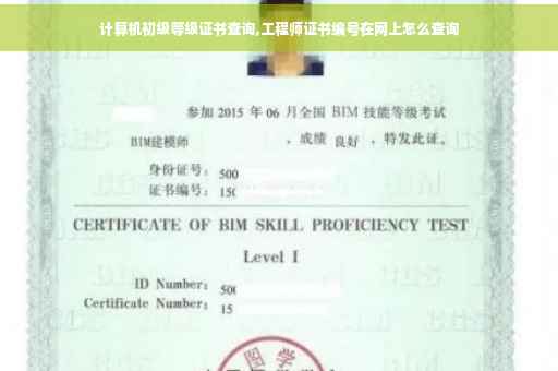 计算机初级等级证书查询,工程师证书编号在网上怎么查询