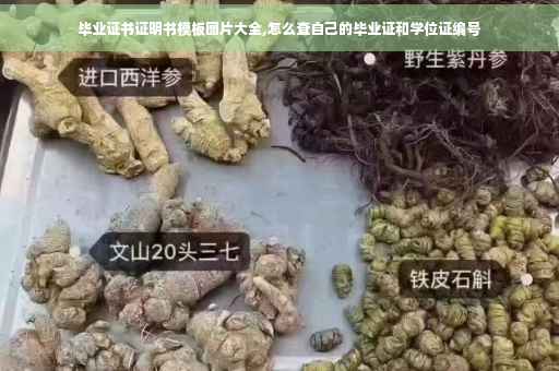 毕业证书证明书模板图片大全,怎么查自己的毕业证和学位证编号
