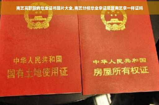 南艺高职院的毕业证书图片大全,南艺分校毕业拿证是跟南艺拿一样证吗