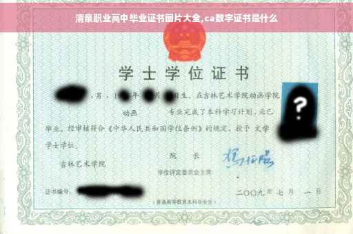 清泉职业高中毕业证书图片大全,ca数字证书是什么