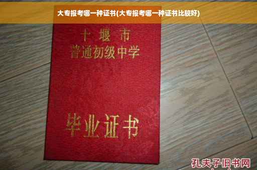 大专报考哪一种证书(大专报考哪一种证书比较好)
